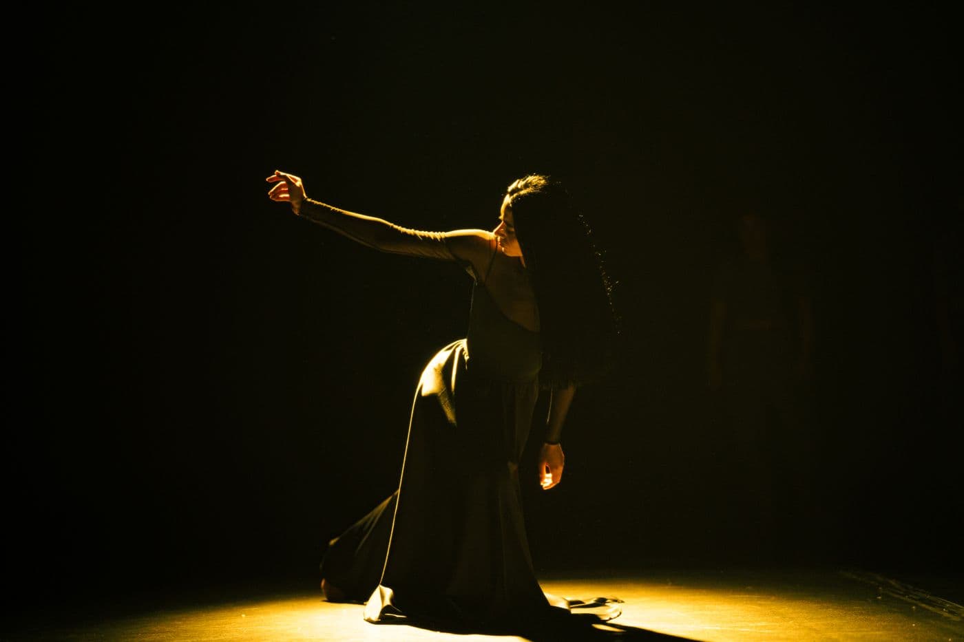 Choreographer — panel portrait